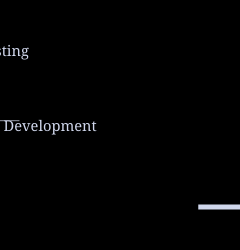 software testing