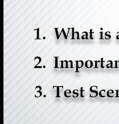 software testing