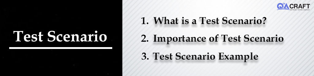 software testing