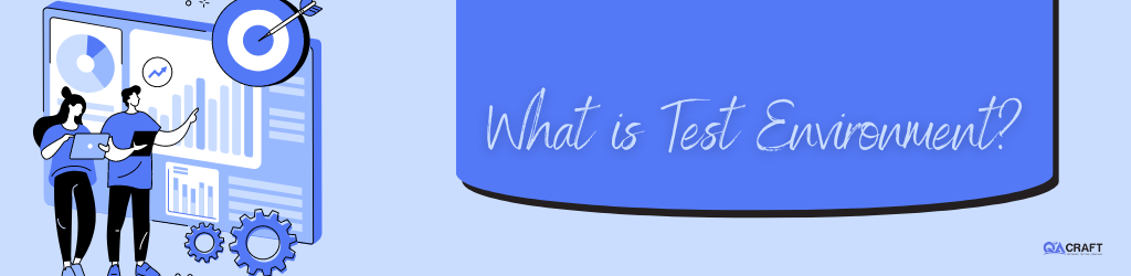 What is Test Environment in software testing