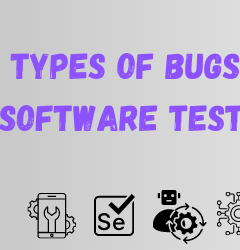 types of bugs