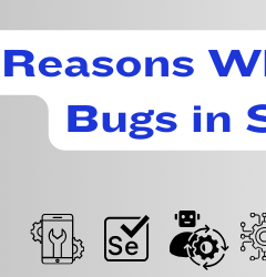 bugs in software testing
