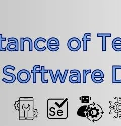 Importance of Test Environments in Software Development